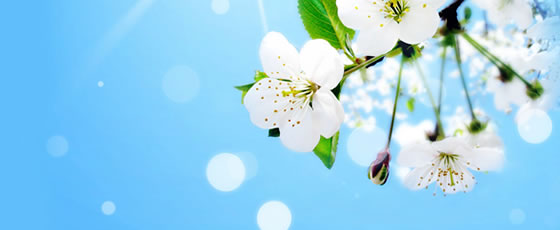 王悦曈、于雅轩：“圣经诠释的中国化”学术工作坊纪要