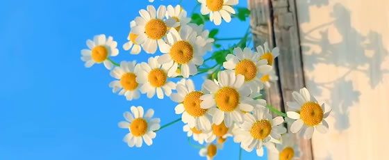 王悦曈、于雅轩：“圣经诠释的中国化”学术工作坊纪要